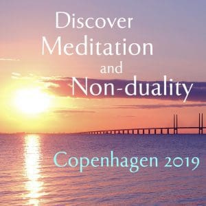 Copenhagen2019_800x800 Sunset and bridge